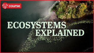 What is an Ecosystem & Should We Conserve it
