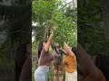 temen ngopi pagi hari🫣 #lucu #fypシ #shortvideo