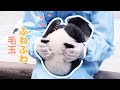 パンダに手を放さない理由がわかった🤤 | iPanda パンダ楽園 #shorts