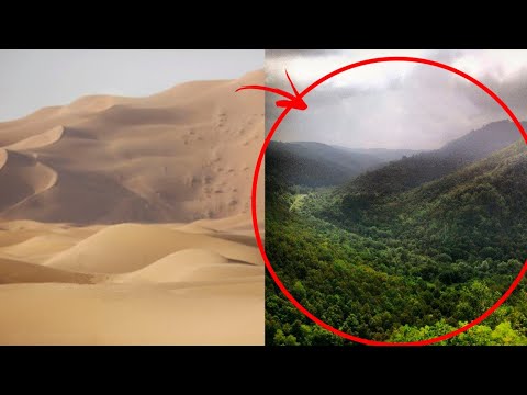 Vídeo: ¿Por Qué, Lo Inhumano Que Gobierna Nuestro Mundo, Convierte La Tierra En Un Desierto? - Vista Alternativa