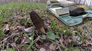 Catfish Condos and Backyard Morels