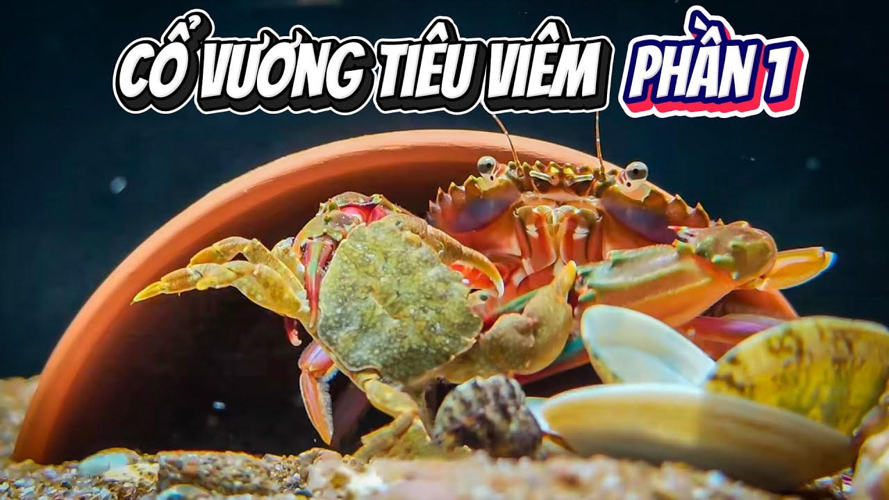 Full Đại Chiến Yêu Thú | Cổ Vương Tiêu Viêm Phần 1