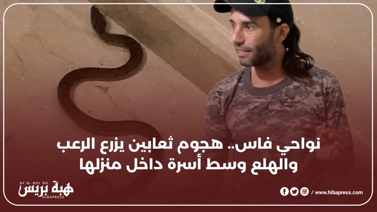 ️ نواحي فاس.. هجوم ثعابين يزرع الرعب والهلع وسط أسرة داخل منزلها