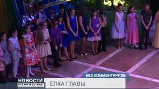 БЕЗ КОММЕНТАРИЕВ: ЕЛКА ГЛАВЫ БЕЗ КОММЕНТАРИЕВ: ЕЛКА ГЛАВЫ