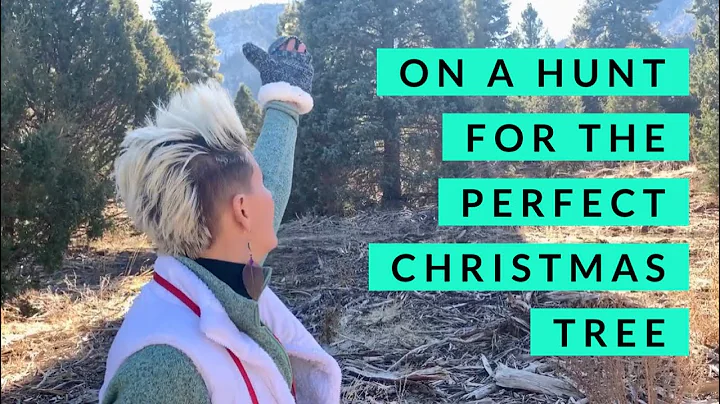 The Great Christmas Tree Hunt in Dixie National Forest in Southern Utah