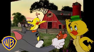 Tom & Jerry | Quack Quack, It's Little Quacker! 🐣 | Classic Cartoon Compilation | @Wbkids​