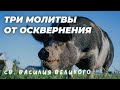 Три молитвы от осквернения Святого Василия Великого