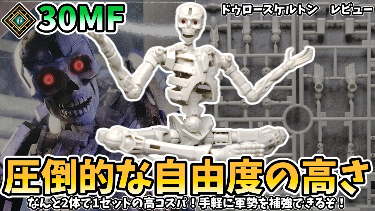 30MF] A literal bone model kit?! Draw Skeleton Review - YouTube
