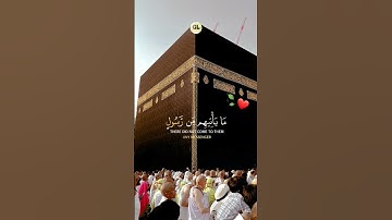 قرآن كريم -تلاوة خاشعة تزلزل القلوب  |القارئ شريف مصطفى  #sorts #quran #القرآن_الكريم  #تلاوة_خاشعة
