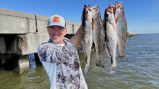 One Bait Made MAJOR Difference at this Bridge! by Marsh Man Masson 13,936 views 1 month ago 20 minutes