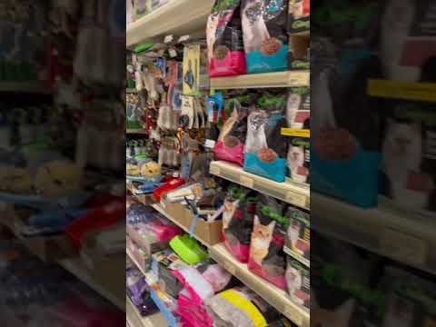 جوله داخل الدانوب