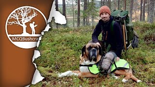 Wilderness Overnight Camping with my Dog, and how I Use My Gear by The MCQBushcraft Archive  202,830 views 4 years ago 36 minutes