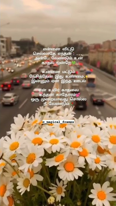 Ennai Kollathey Song Lyrics | Magical Frames