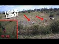 Defending My Livestock Against Neighbors Dogs!