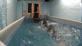 homemade endless pool