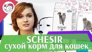 Schesir сухой корм для кошек на ilikepet Schesir сухой корм для кошек на ilikepet