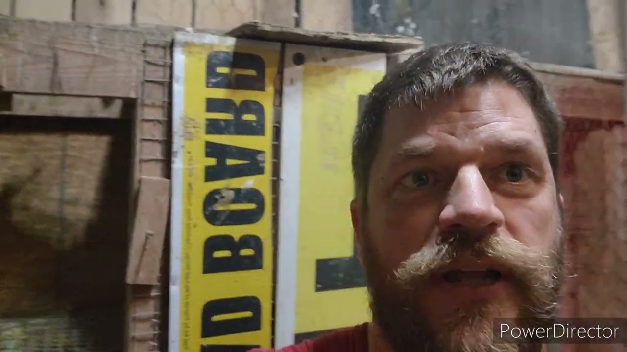 A Great Horned Owl in our breeder loft