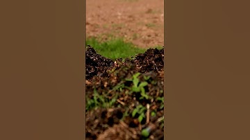 Why is Composting Important? #shorts #compost #scienceeducation #educationalvideo #discoverscience