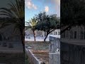 اذكر الله ــــــوصلي على النبي