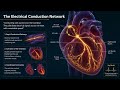 The Living Heart: How Billions of Cells Work Together