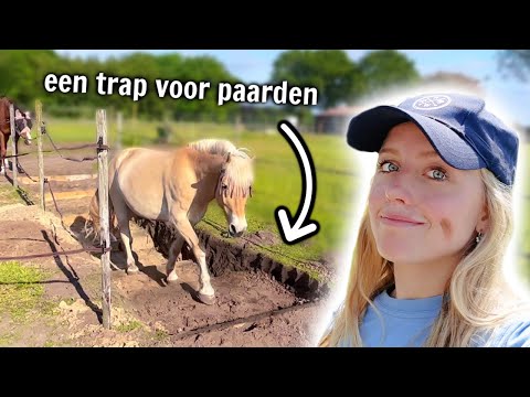 Video: Een gids om paarden te zoeken en te proberen