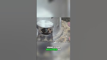 Beginner’s Guide To Sign Carving: Font & Layout Practice. #freehand #woodcarving #woodsigns