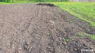 Подготовка земли для посадки арбузов и дынь