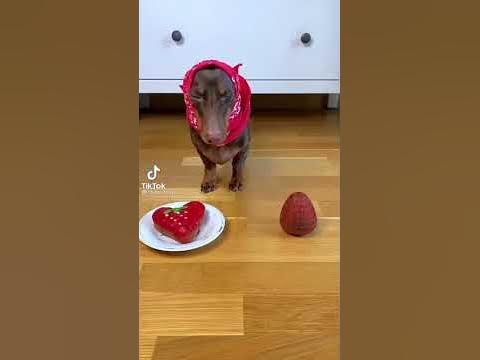 ЧАПИ ВЫБИРАЕТ - YouTube