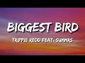 Trippie Redd – BIGGEST BIRD Feat. Summrs - Lyrics