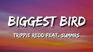 Trippie Redd – BIGGEST BIRD Feat. Summrs - Lyrics
