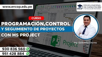 CURSO: PROGRAMACIÓN, CONTROL Y SEGUIMIENTO DE PROYECTOS CON MS PROJECT 2025