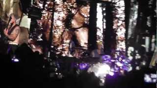 Red Hot Chili Peppers - Heikenen Jammin' Festival 2012 - Scar Tissue