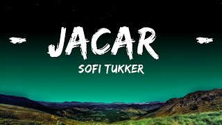 SOFI TUKKER - Jacaré (Lyrics)  | 25 Min