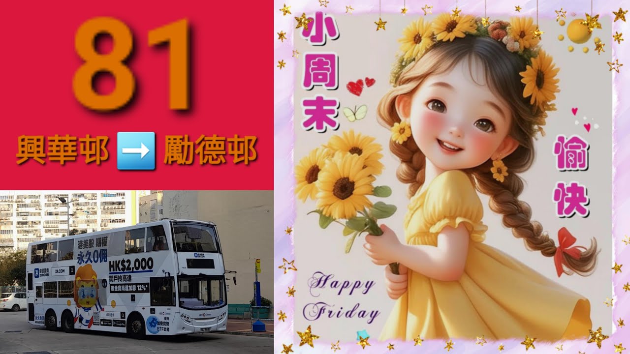 Hong Kong Bus CTB 4050 @ 81 城巴 Alexander Dennis Enviro500 MMC 興華邨 勵德邨