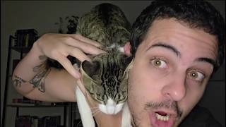 ASMR Relaxing Chat - Soft Voice and Whispers screenshot 3