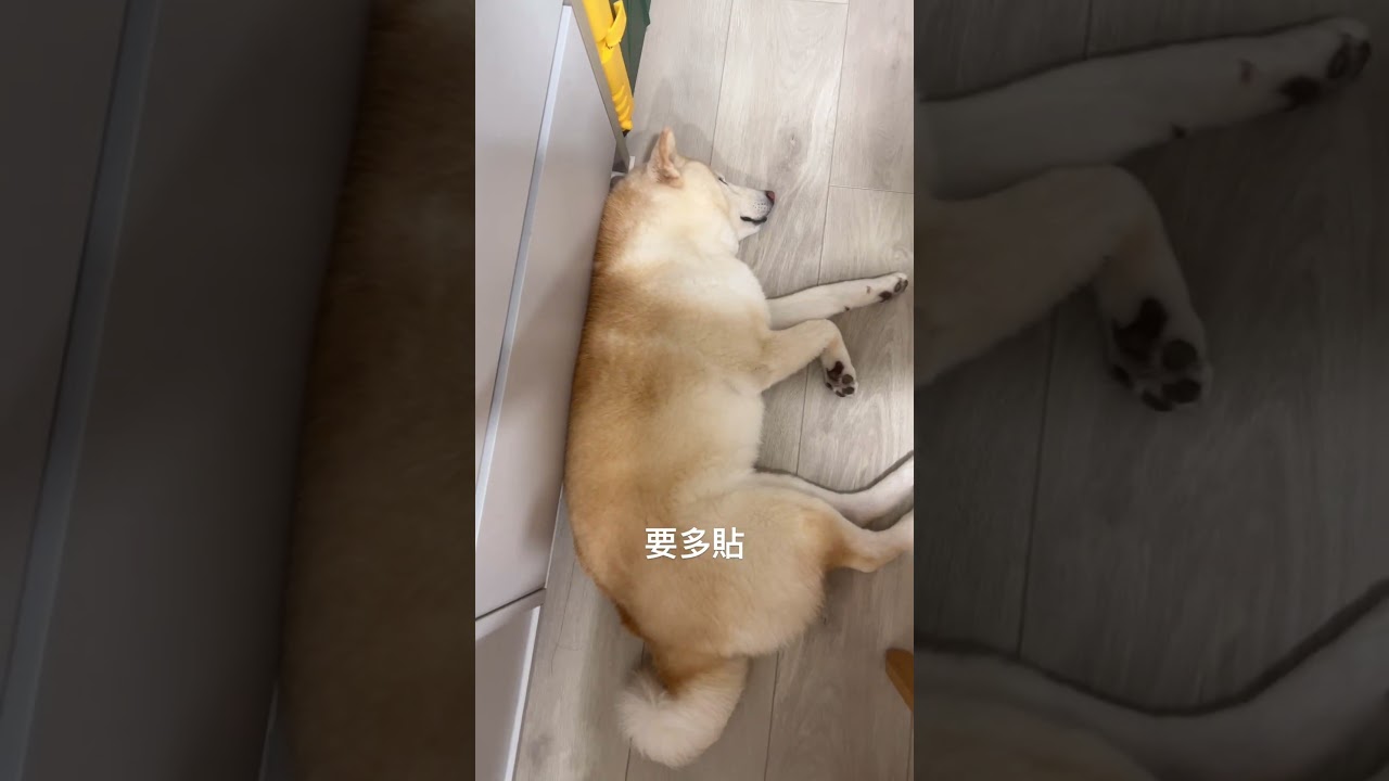 要多貼