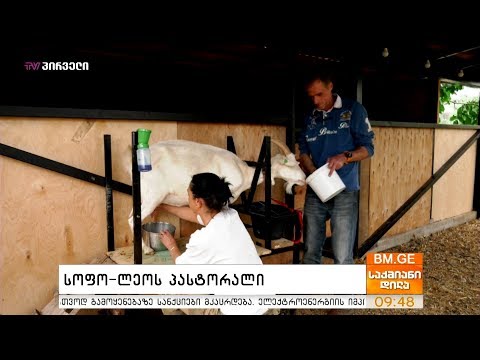 #საქმიანები -  \"სოფო-ლეოს პასტორიალი\"