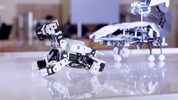 SAP Leonardo Machine Learning Foundation