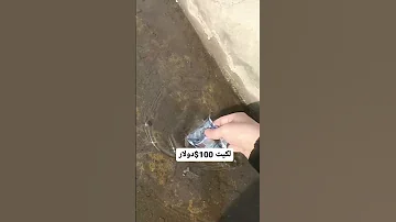 لكيت 100 دولار 