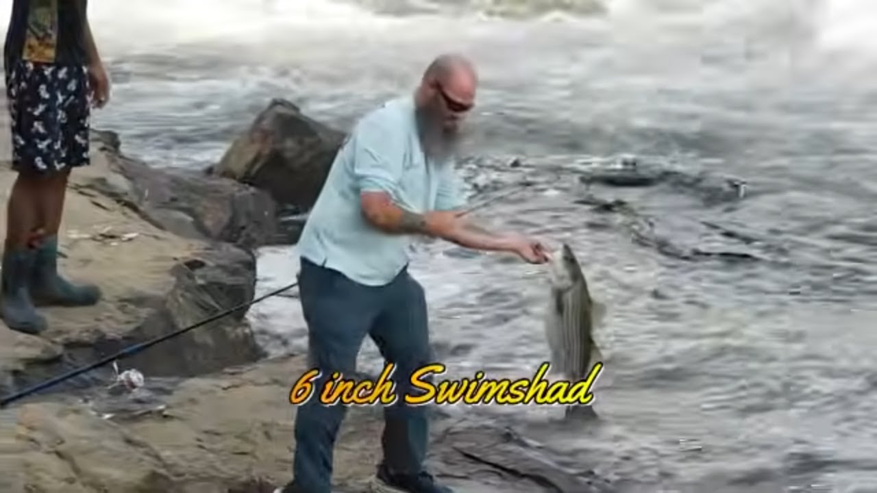 Weldon Boat Ramp Huge Stripers 4/11/26 Update, Roanoke river, Weldon boat ramp, Weldon ...