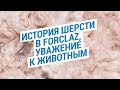 История шерсти в Forclaz, уважение к животным (Шерсть мериноса - дар природы) | Декатлон