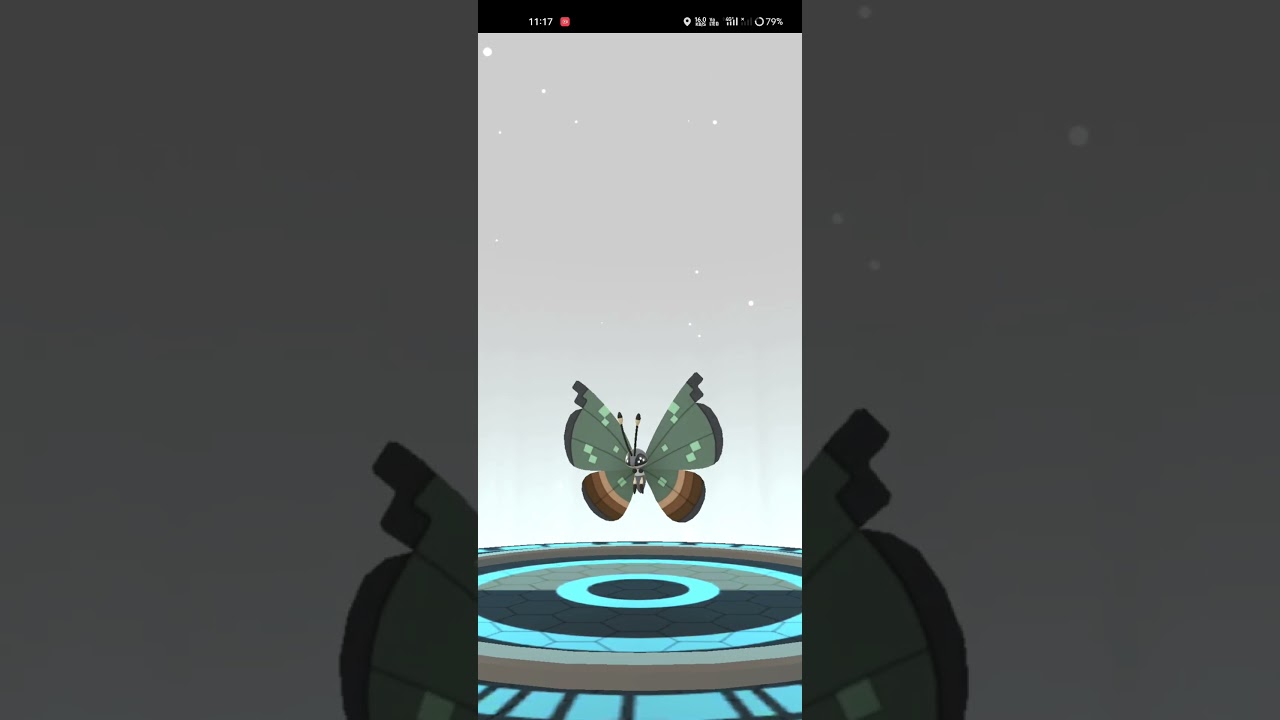 Jungle Habitat vivillon evolution 🧬 