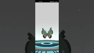 Jungle Habitat vivillon evolution 🧬 #pokemongo #pokemon #vivillon