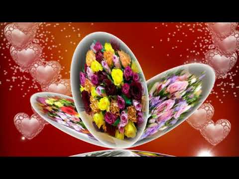Цветы в подарок - YouTube