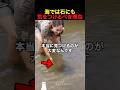 海では石にも気をつけるべき理由