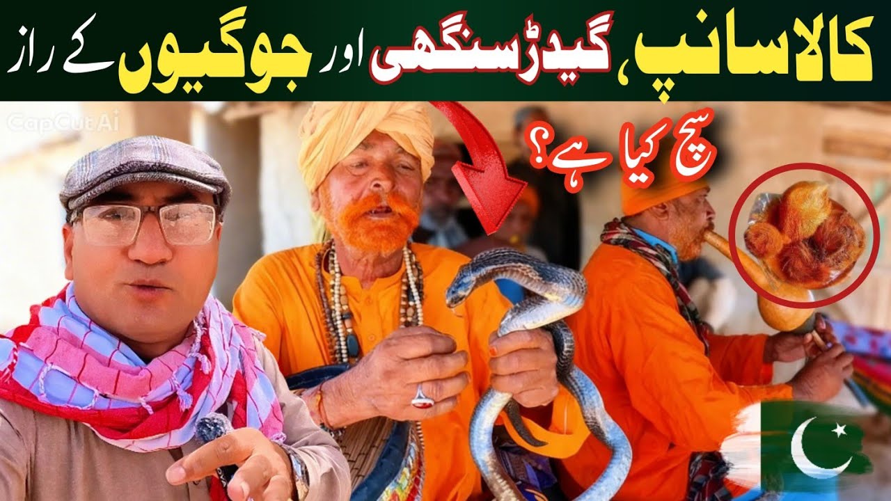 Snake Charmers of Sindh 🐍 | Secrets, Myths & Truth Revealed!