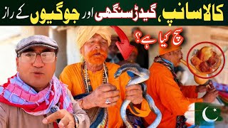 Snake Charmers of Sindh 🐍 | Secrets, Myths & Truth Revealed!