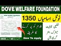 Dove Welfare Foundation Jobs 2022 How To Download Application Form & How To fill Application Form