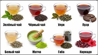 Всё, что вы точно не знали о чае (и почему каркаде им не является)