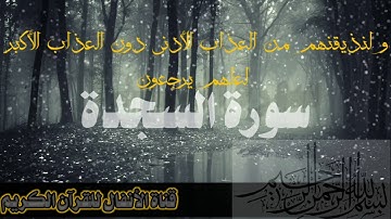 سورة السجدة قراءة هادئة